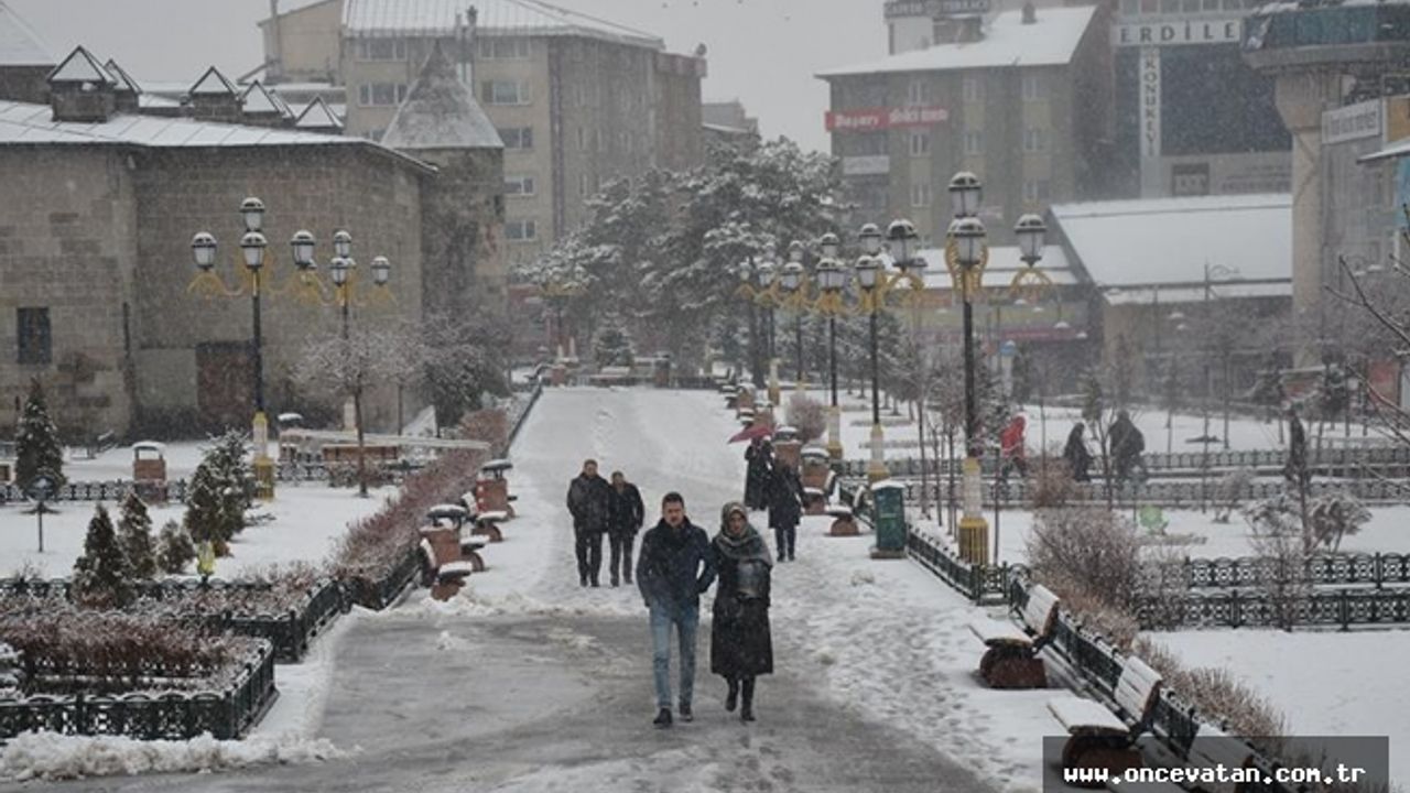Doğu Anadolu'da kar yağışı etkili oluyor
