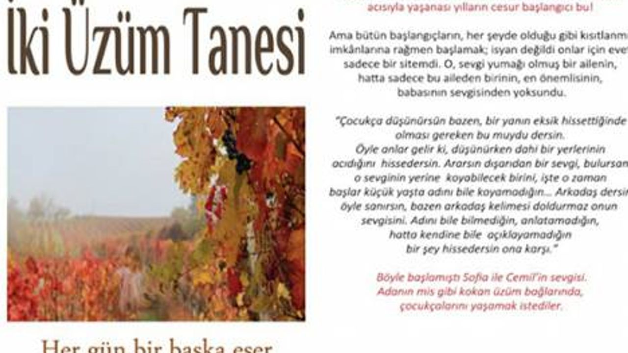 SENARİST YAZAR FERİDUN HOCALAR'IN YENİ KİTABI ÇIKTI 