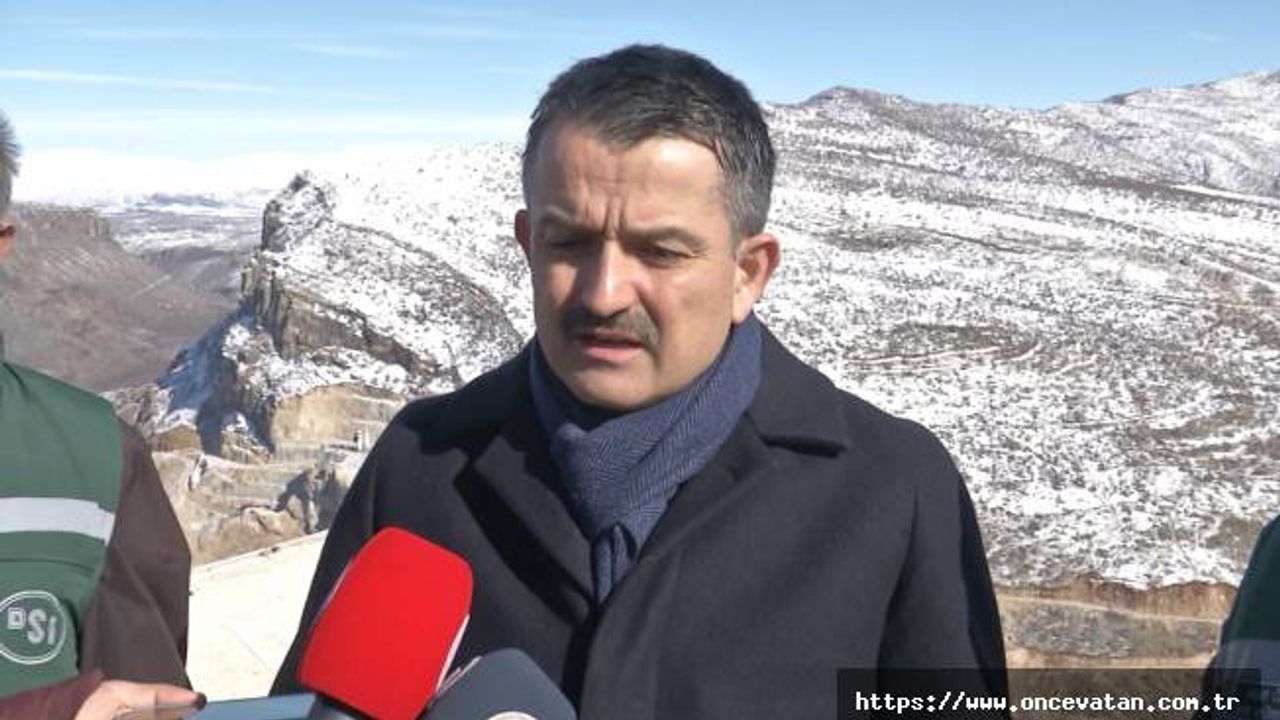 Bakan Pakdemirli: Silvan Projesi, 305 bin kişiye iş imkanı sağlayacak