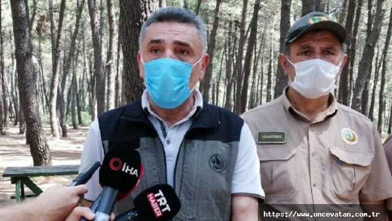 İstanbul Orman Bölge Müdürü'nden yasaklarla ilgili açıklama