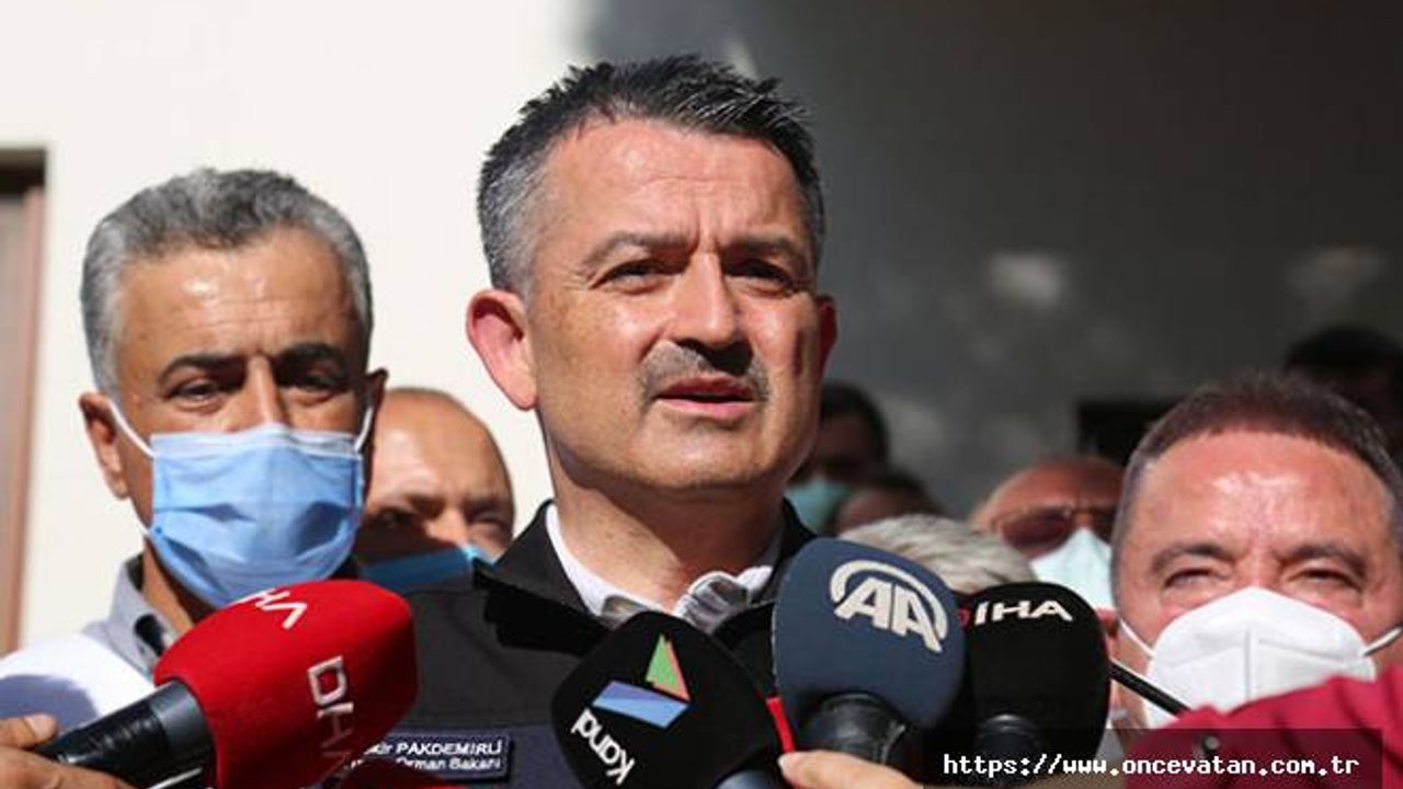 Pakdemirli: Hatay ve Fethiye yangınları kontrol altında
