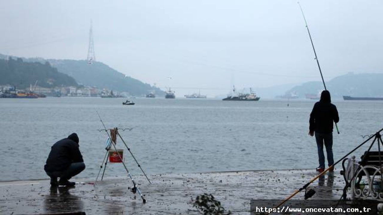 İstanbul’da gırgırlar, olta balıkçılarını isyan ettirdi