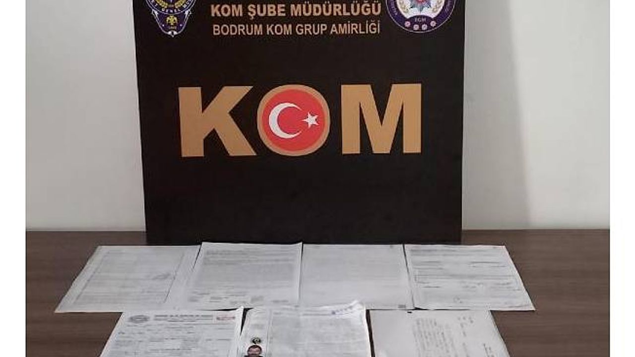 Tapuda sahtecilik yapanlara polisten suçüstü baskın