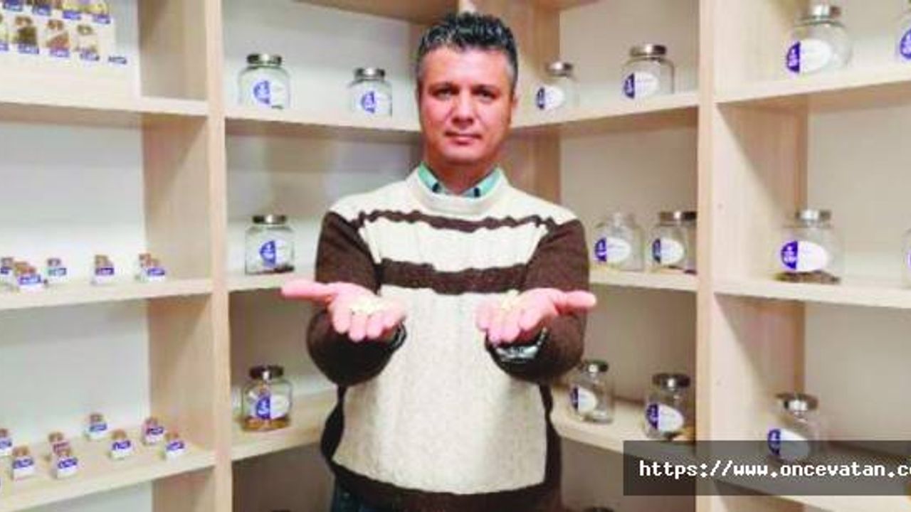 Karadeniz'in ata tohumları çoğaltılıyor