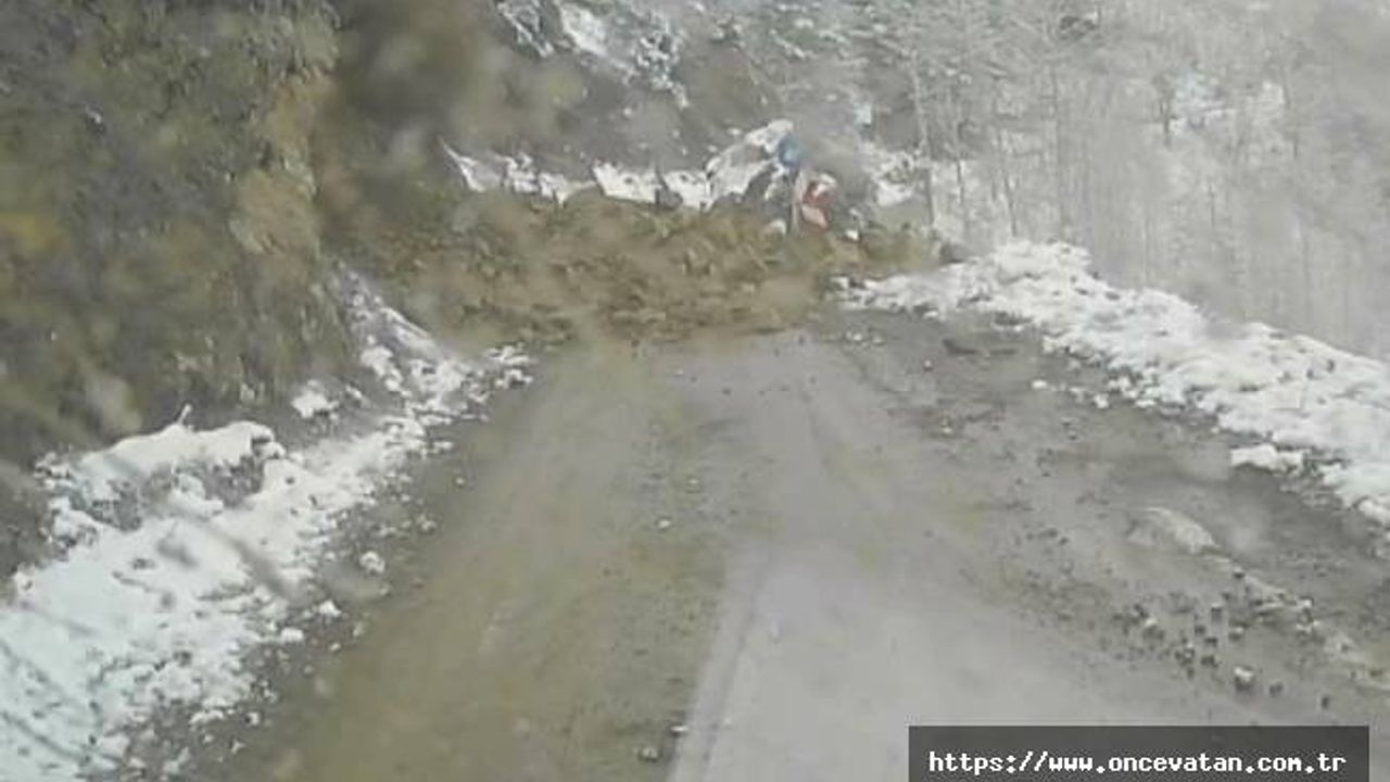 Artvin'de yamaçtan kayan taşları görerek aracını durduran sürücü heyelandan kurtuldu