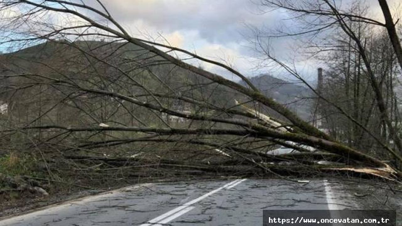 Meteorolojiden dört bölge için fırtına uyarısı