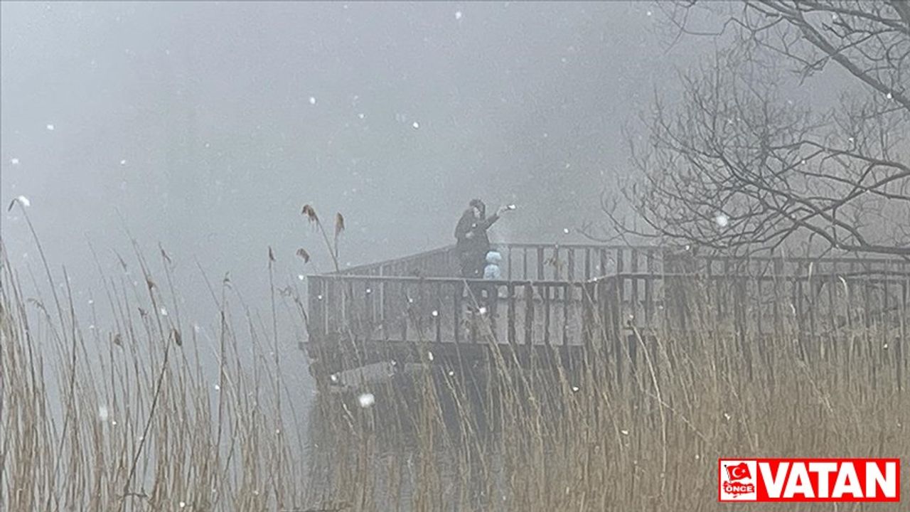 Gölcük Tabiat Parkı'nda kar ve sis etkili oluyor