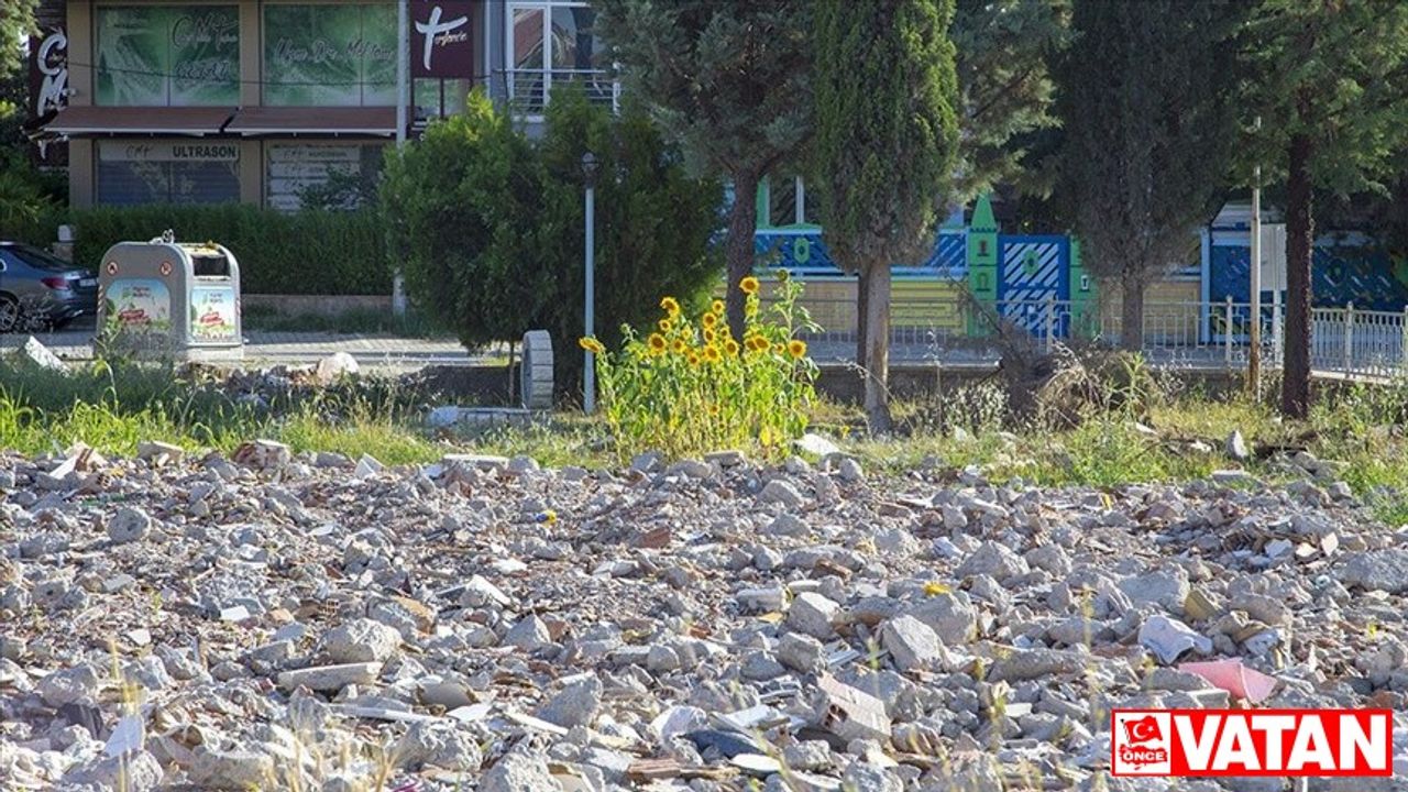 Malatya'da depremde aldığı hasar nedeniyle yıkılan binanın arazisinde ayçiçekleri açtı