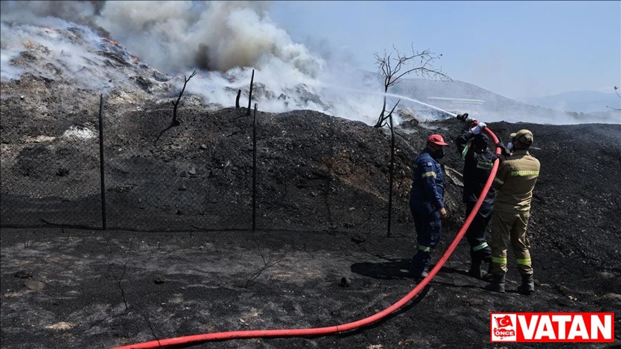 Yunanistan'ın Attika bölgesinde 2017’den bu yana ormanlık alanların yüzde 23’ü yandı