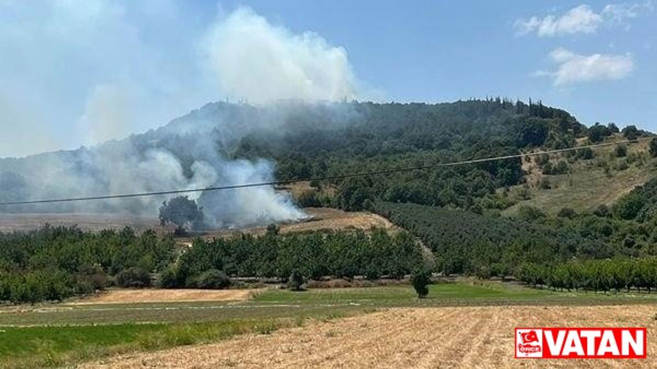 Bursa'da ormanlık alanda çıkan yangın söndürüldü