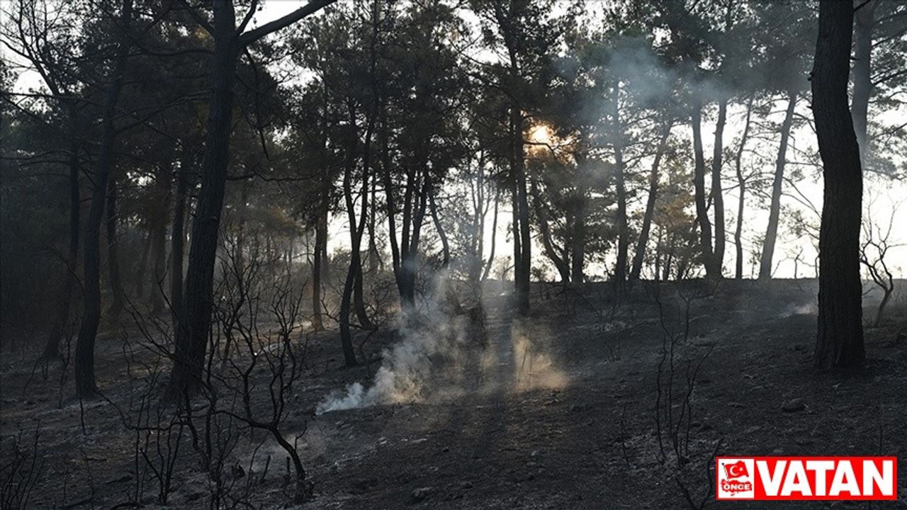 Çanakkale'deki orman yangını kontrol altına alındı