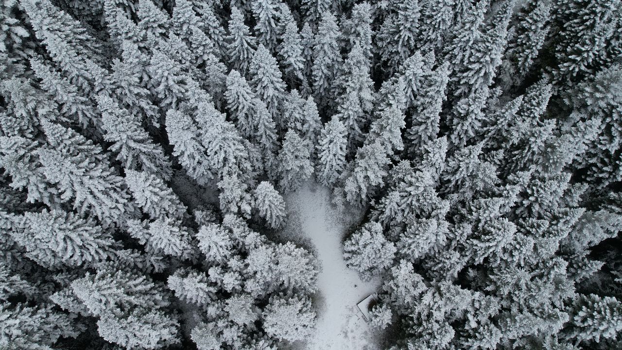 Kastamonu ormanlarında sonbahar ve kış güzelliği bir arada