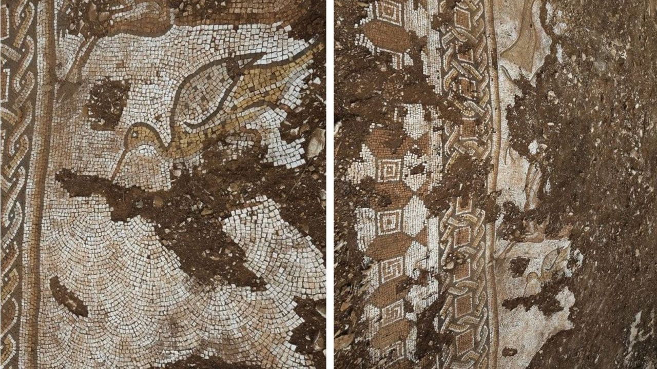Türkiye'de muazzam Roma mozaikleri bulundu