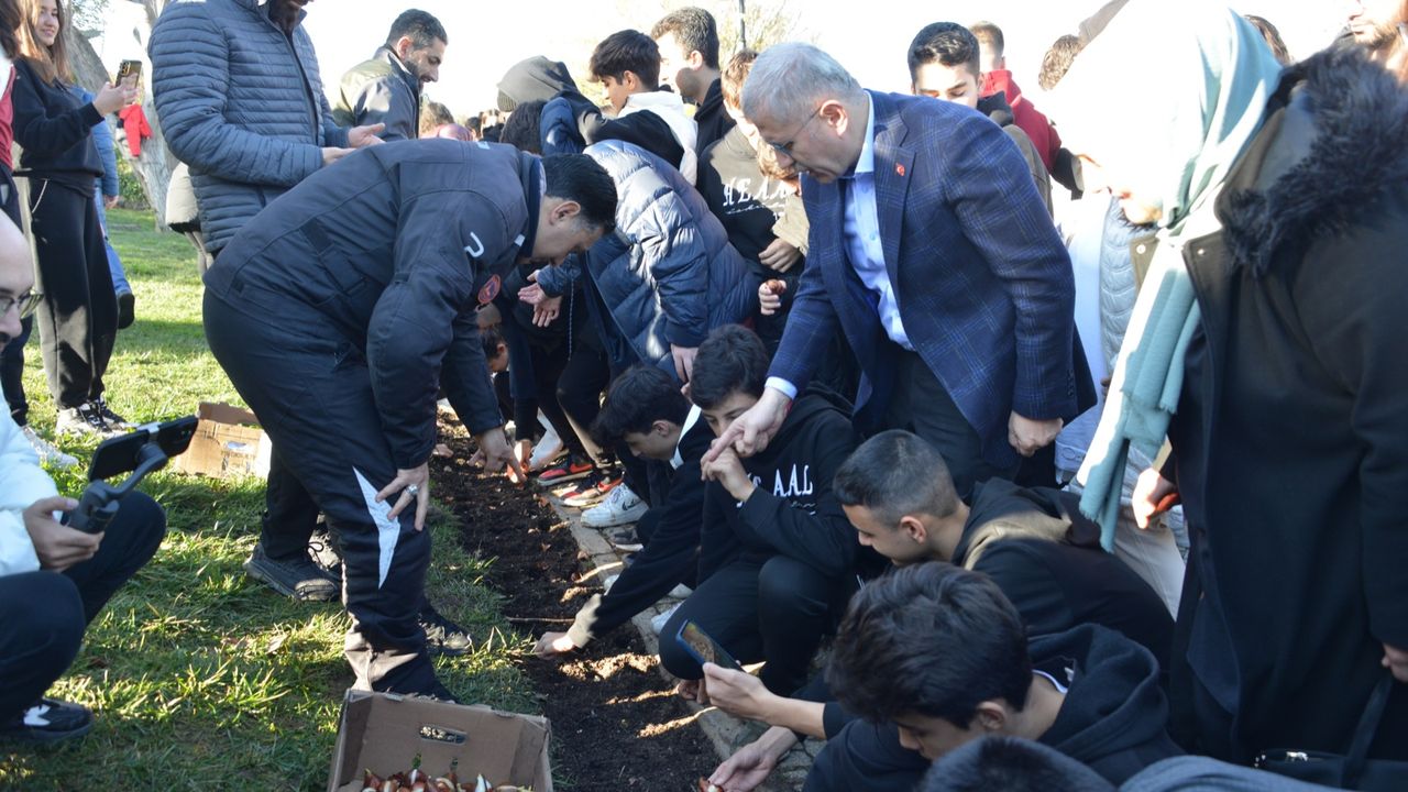 İstanbul Lale Vakfı İstanbul’da Lale Soğanı Ekimlerine Devam Ediyor Önce Vatan Gazetesi