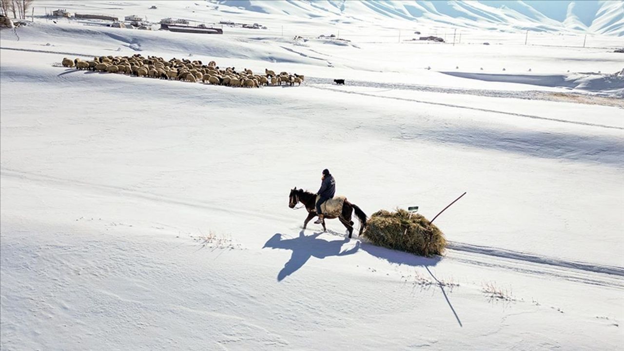 Van'da karla kaplı köylerdeki besiciler zor şartlarda hayvanlarını besliyor