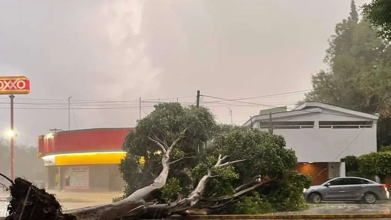 Meksika'da Alberto tropikal fırtınasının yol açtığı şiddetli yağışlarda 3 kişi öldü