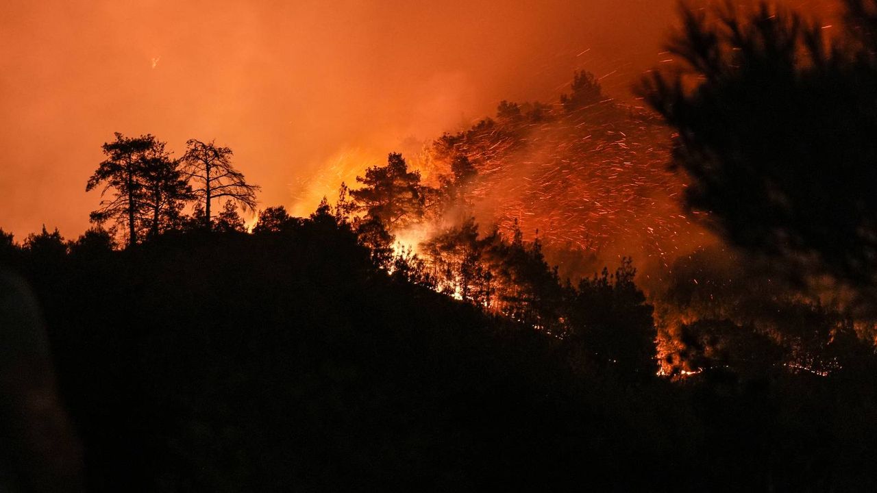 Çanakkale'de ormana sıçrayan anız yangınına müdahale sürüyor