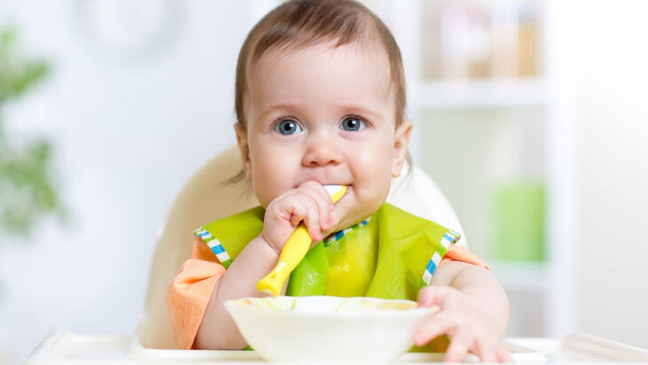 6 Aylık Bebek Ek Gıda
