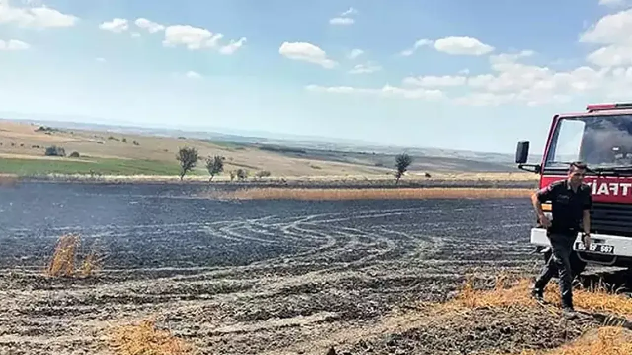 Tekirdağ'da buğday tarlasında çıkan yangın söndürüldü