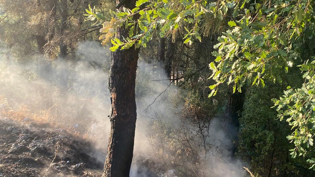 Muğla'da yanan otomobilden ormanlık alana sıçrayan yangın söndürüldü