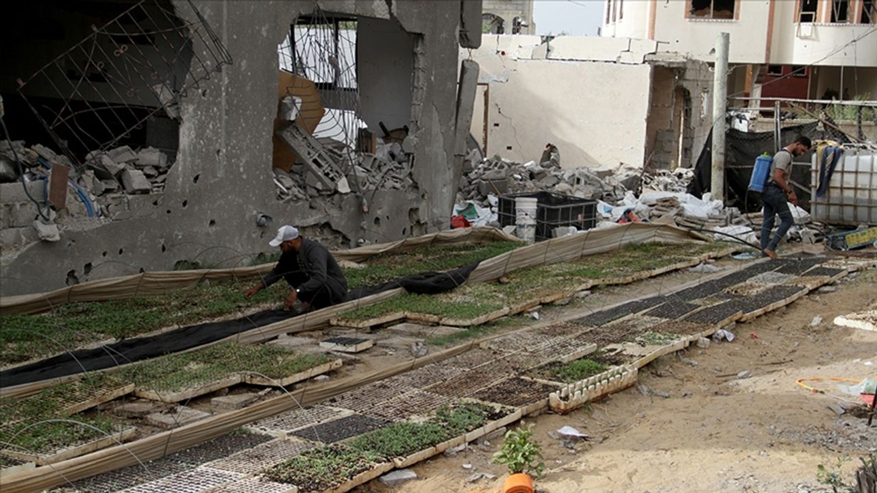 İsrail saldırıları nedeniyle Gazze Şeridi'nde tarım ve hayvancılık bitti