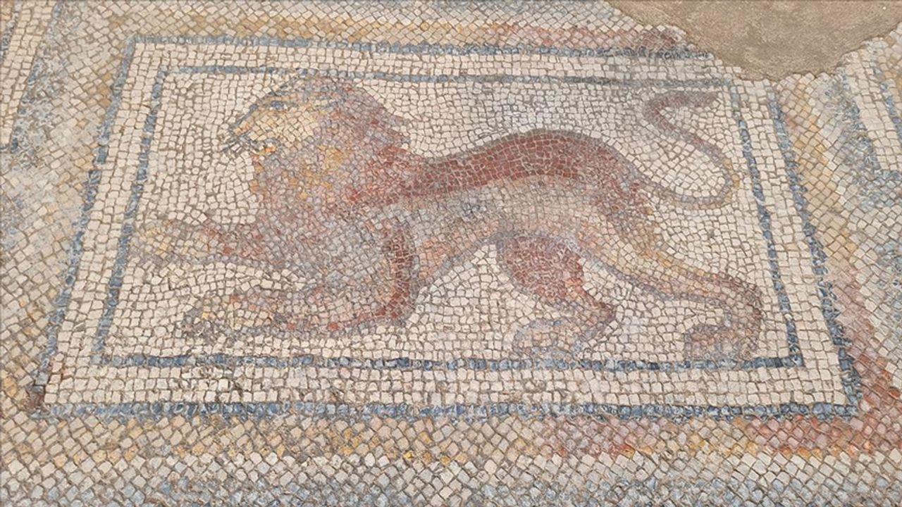 Osmaniye'de temel kazısında bulunan Roma dönemi mozaikleri gün yüzüne çıkarılıyor
