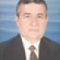 Prof. Dr Erdal KEREY