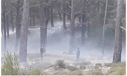 Balıkesir'de orman yangını