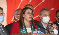 CHP'li Karaca: Çay kanun taslağını bir an önce yasallaştıralım
