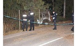 İzmir'de hafif ticari araç ağaca çarptı: 1 ölü, 2 yaralı 