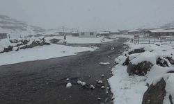 Rize'nin yüksek kesimlerinde kar kalınlığı 20 santimi aştı