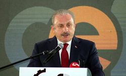 Şentop'tan 10 büyükelçiye tepki