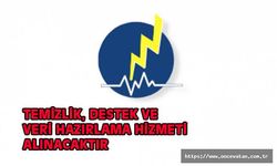 Temizlik, destek ve veri hazırlama hizmeti alınacak