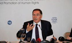 "Türkiye son yıllarda hak ve özgürlükler konusunda önemli mesafeler kat etti"