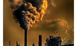 WMO: 2020 yılında sera gazları rekor seviyeye ulaştı
