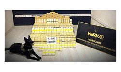 93 kilo eroini narkotik köpeği 'Tipi' buldu