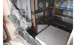 Bayrampaşa'da pet shop'ta yangın çıktı, çok sayıda hayvan öldü 