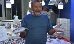Boy sınırı altında avlanan lüferin nesli tehlikede