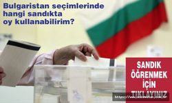 Bulgaristan seçimleri