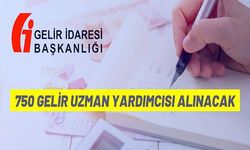 Gelir Uzman Yardımcısı Alınacak