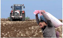 Kuraklıktan etkilenen çiftçi, gübre zammından etkilenmeyecek