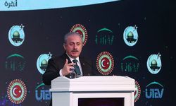 Meclis Başkanı Şentop: Filistin Devleti'ni her zaman destekliyoruz