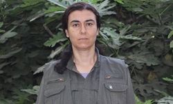 MİT ve TSK'dan PKK'ya üst düzey darbe
