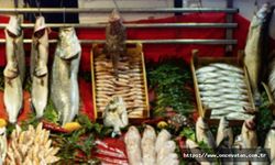 Samsun'da balık dükkanları kiraya verilecek