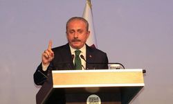 Şentop: Hükümetin Kürtçeye karşı bir tavrı yok