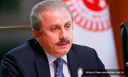 Şentop: Önümüzdeki seçimlerin temel tartışması yeni anayasa konusu olabilir