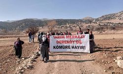 Tarım arazisine kömür ocağı izni yargıda