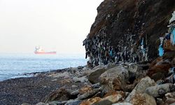 Tıbbi atıklar denize sürükleniyor