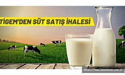 TİGEM’den süt satış ihalesi