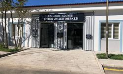 Türkiye'nin ilk Çocuk Adalet Merkezi, Erzurum'da açılıyor